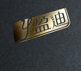 盈迪LOGO設(shè)計